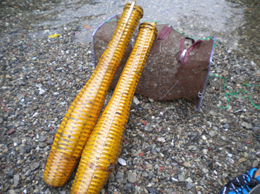 a0111357_21452189.jpg