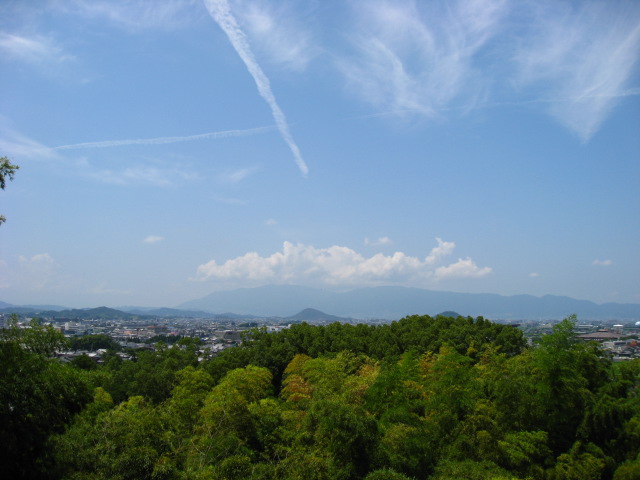 c0185858_16114059.jpg