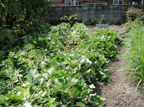 c0108460_1536976.jpg