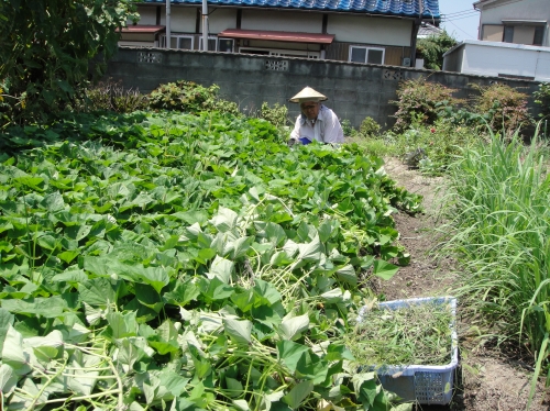c0108460_15371427.jpg