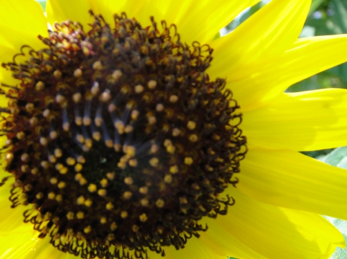 c0108460_15375050.jpg