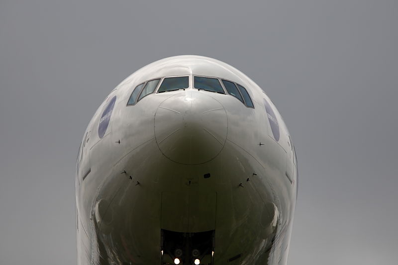 a0117972_20422367.jpg