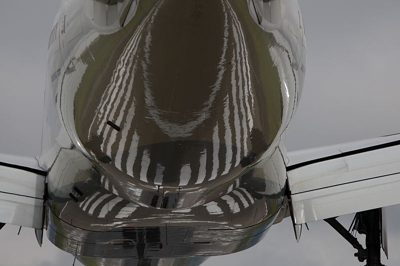 a0117972_20431032.jpg