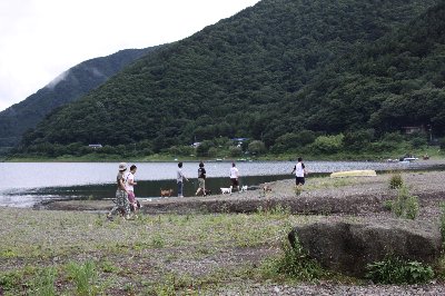 雨の西湖_b0053973_925934.jpg