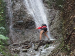 b0050787_1434361.jpg