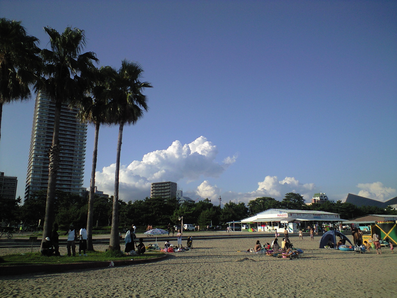 b0029688_2522490.jpg