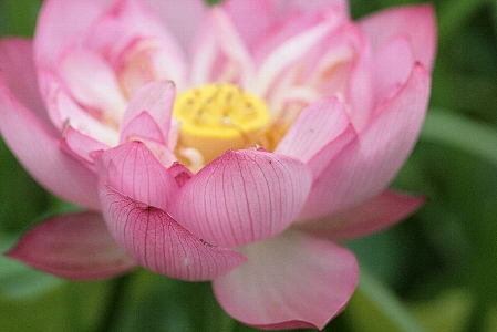 d0133693_20384510.jpg