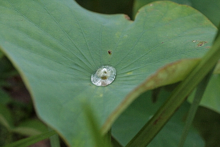 d0133693_20404990.jpg