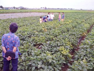 枝豆もぎサイクリングツアー下見編_f0153098_1331869.jpg