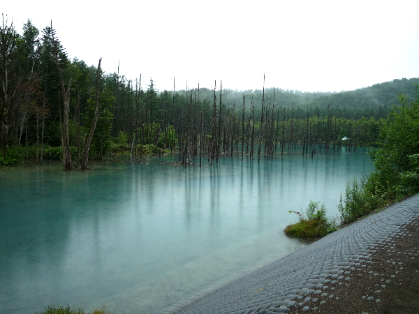 f0187700_14524320.jpg