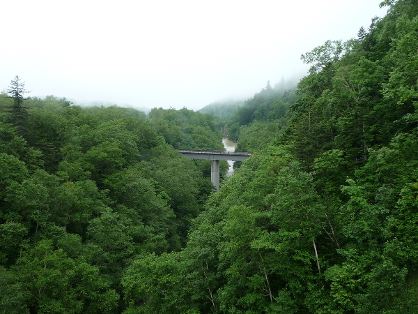 f0187700_1459764.jpg