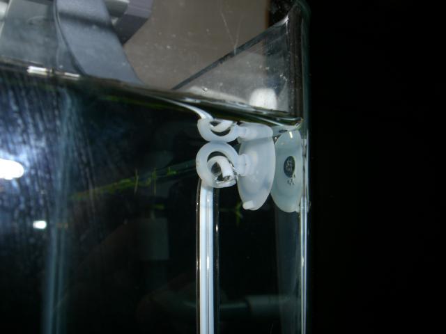 b0175402_21304894.jpg