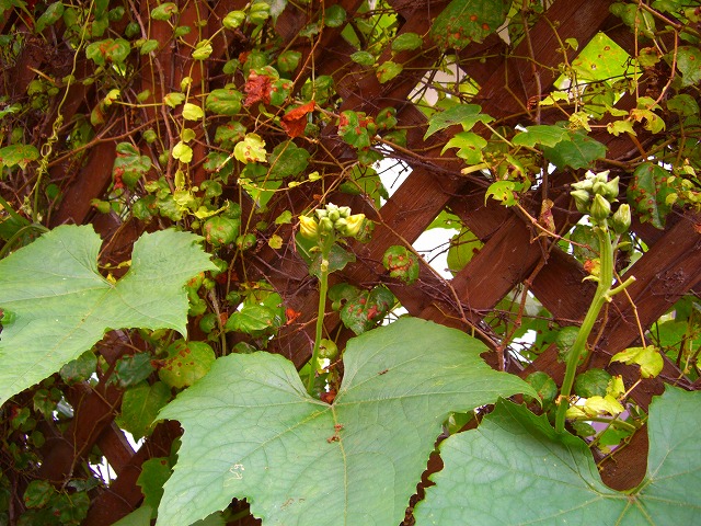 c0125702_12752100.jpg