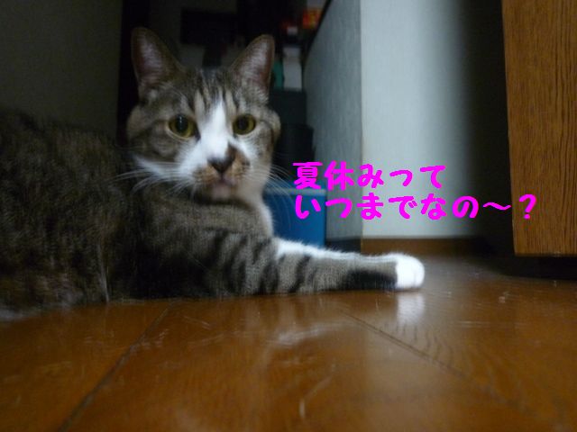 e0018604_1863150.jpg