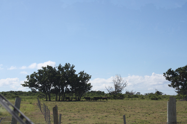 c0093205_2342124.jpg
