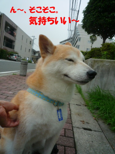 e0131506_23261189.jpg