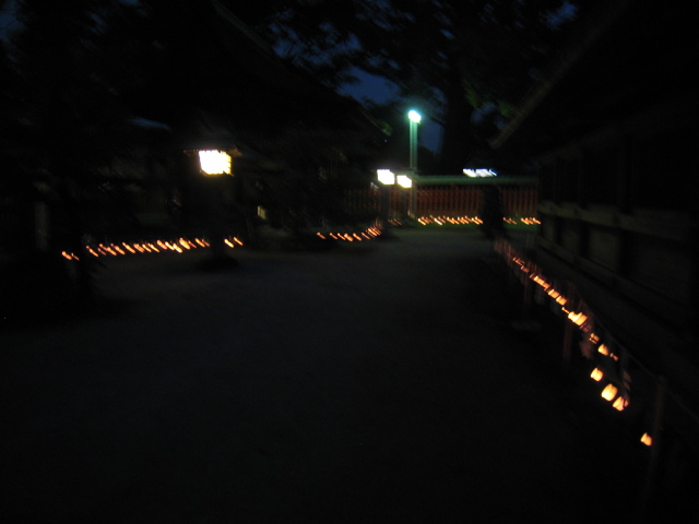 ２００９年夏越祭_b0114209_11251536.jpg