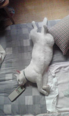 休日_c0180209_23264018.jpg