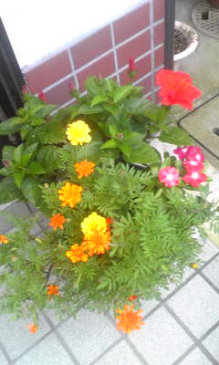 休日_c0180209_23264063.jpg