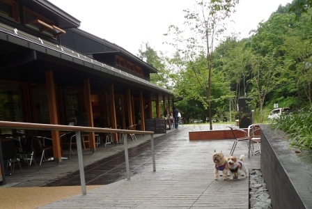 e0078510_17143259.jpg