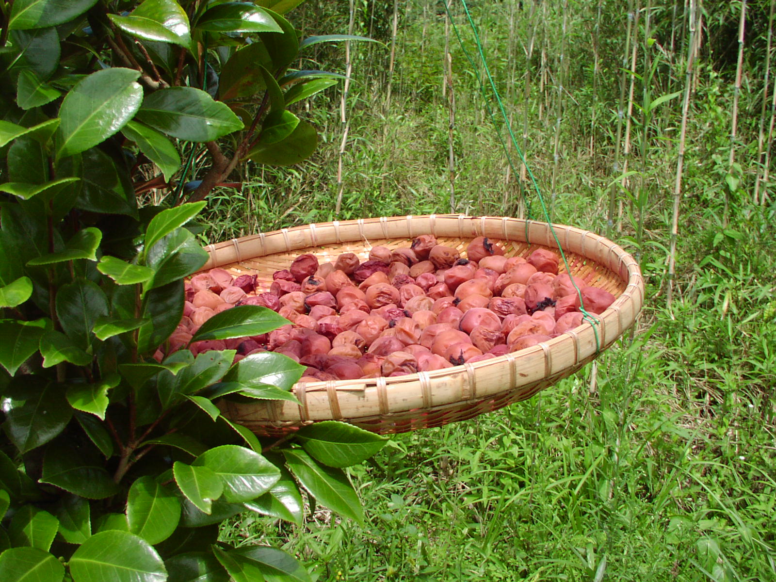f0164410_14303151.jpg