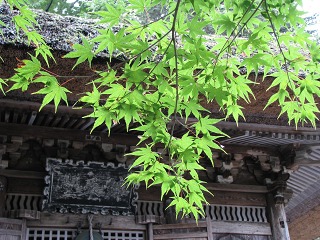 c0061311_21483593.jpg