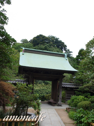 f0192411_2315121.jpg