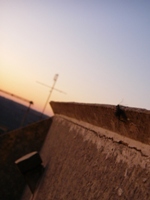 f0133814_20503752.jpg