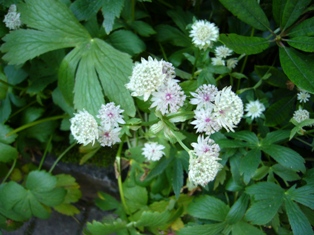 e0049015_0575629.jpg