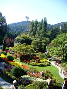 e0049015_1161987.jpg