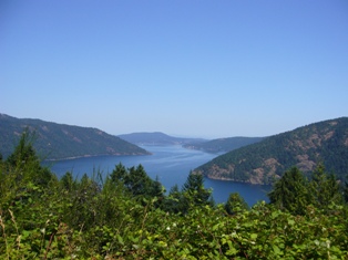 e0049015_1594768.jpg