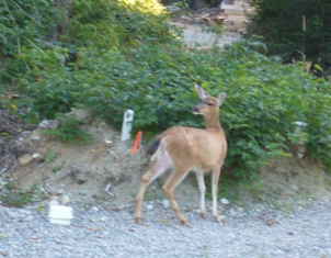 e0049015_2103833.jpg