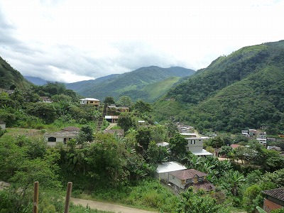 f0204721_456276.jpg