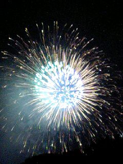 f0055423_1112783.jpg