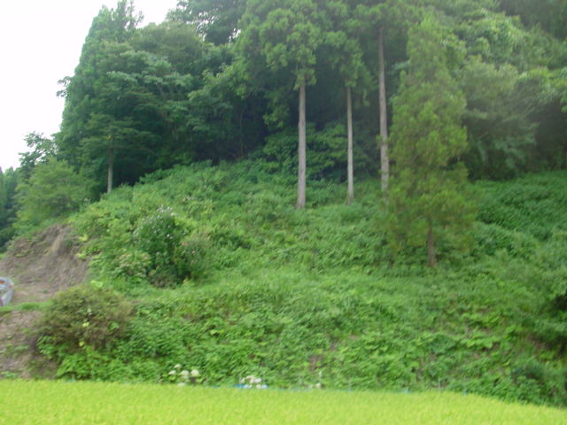 e0182726_16592762.jpg