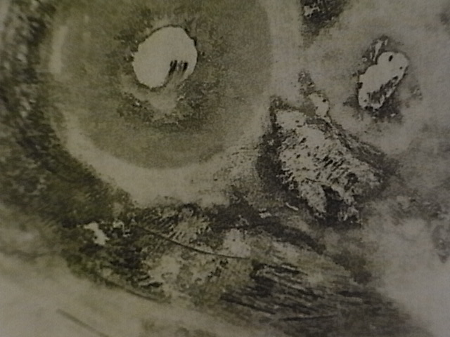f0040342_1747319.jpg