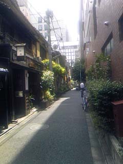 a0041150_32053.jpg