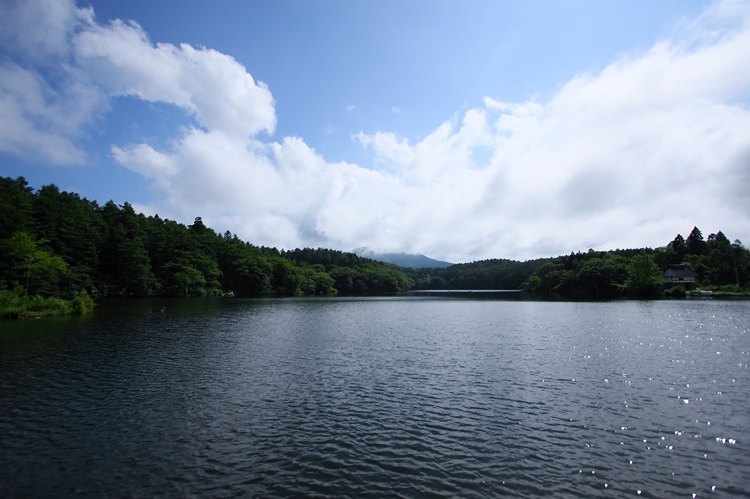 c0198351_683535.jpg