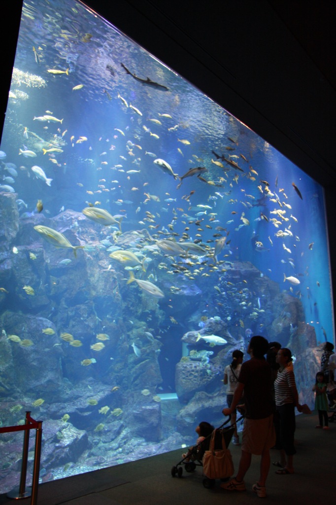 f0013553_06267.jpg