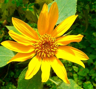d0006756_9492669.jpg