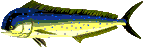 d0147156_1625076.gif