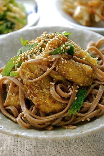 トロトロじゅわりの焼き茄子蕎麦_e0110659_9234593.jpg