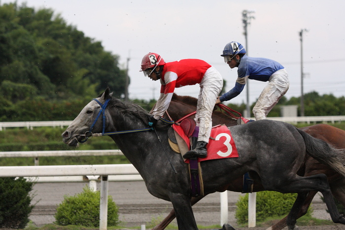 2009年7月25日（土） 高知競馬 4R 宵まつり特別 E1 選抜馬_a0077663_18385264.jpg