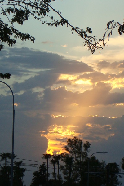 f0141867_61650.jpg