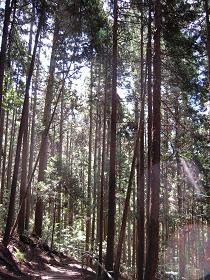 旅人ひとり③_e0033570_22193016.jpg