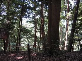 旅人ひとり③_e0033570_22202999.jpg