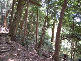 旅人ひとり③_e0033570_2221712.jpg