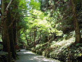 旅人ひとり③_e0033570_2228659.jpg