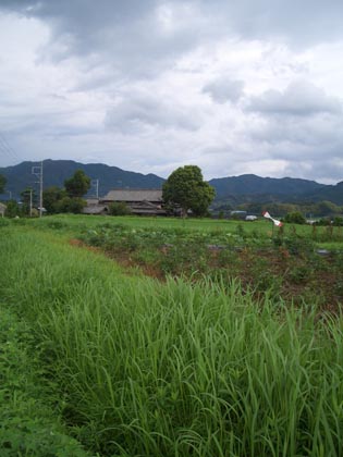 前原市　　瑞梅寺付近　　制作工程（前半）_f0176370_1518598.jpg