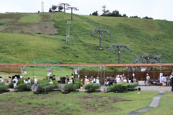 b0055171_10411257.jpg